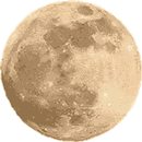 marche_nordique_chambéry